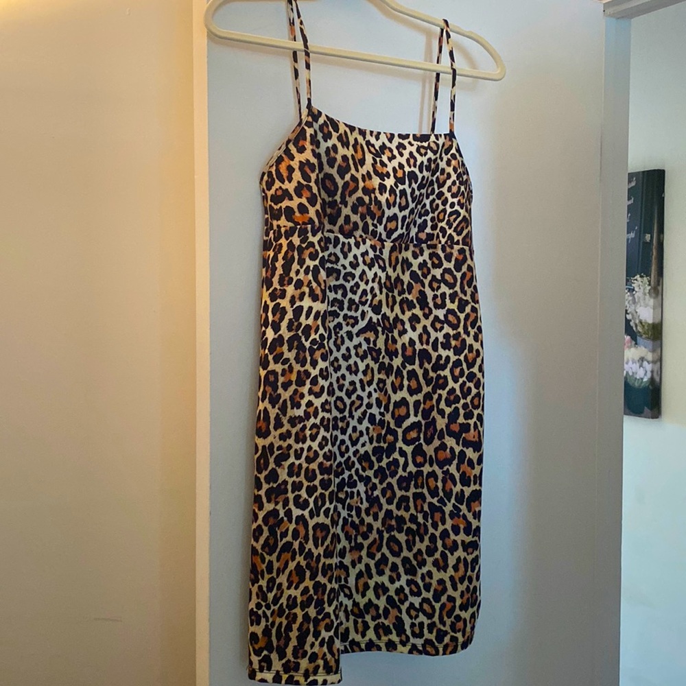 Zara Trafaluc Mini Slip Leopard Print Dress